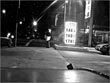 Bum, Ara’s Gas Station, Alexandria & Sunset, about 4:45 am, 8.10.02